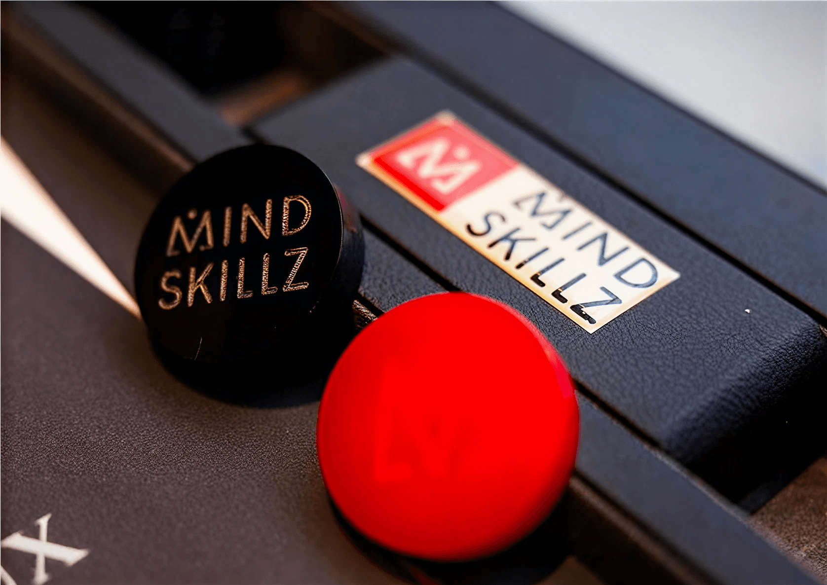 About Mind Skillz